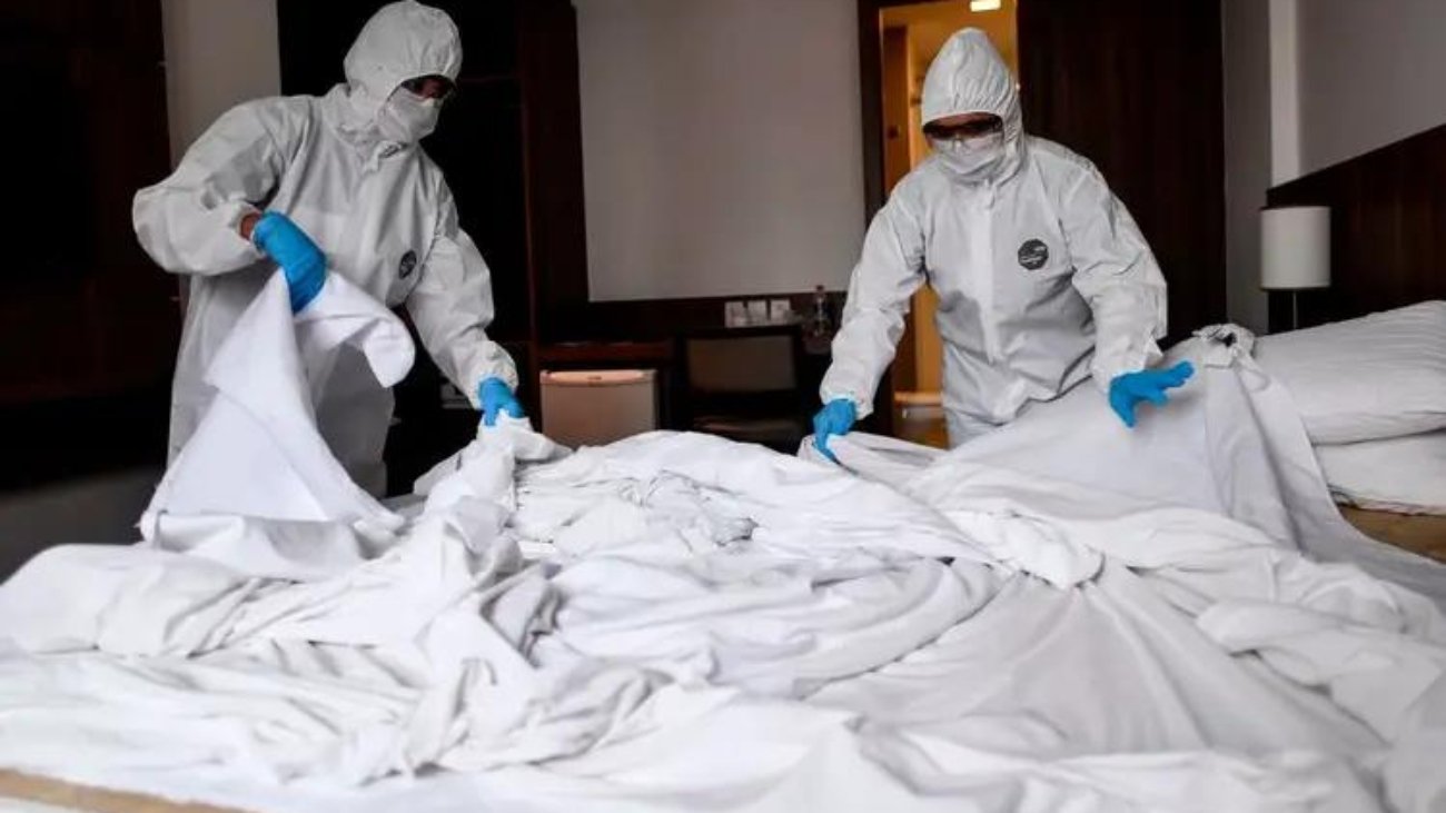 Bed Bug Fumigation Leeds 3