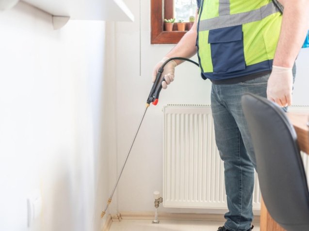Commercial Bed Bug Control Leeds