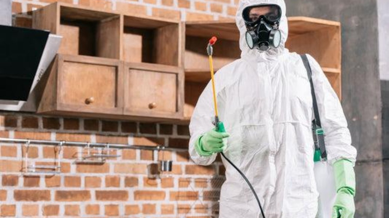 Bed Bug Prevention & Monitoring Leeds