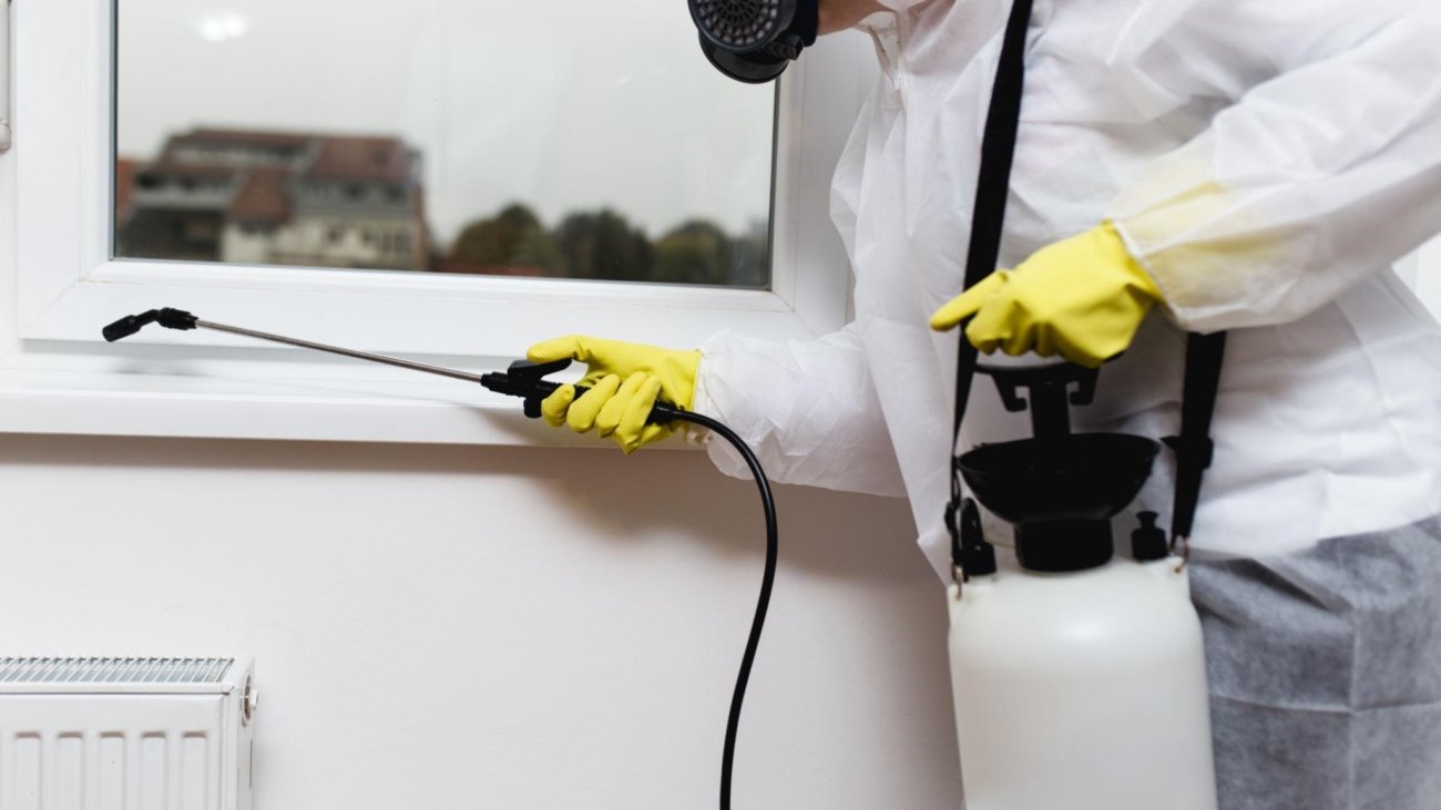 Bed Bug Fumigation Leeds