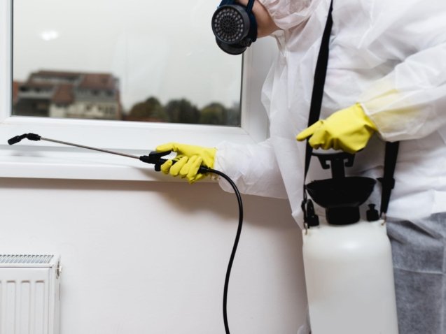Emergency Bed Bug Treatment Leeds 4