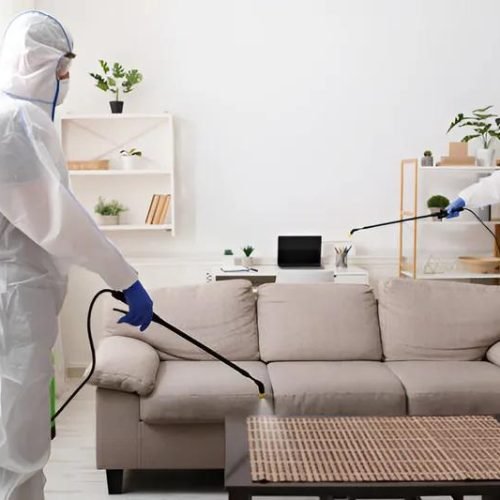 Same Day Bed Bug Treatment Leeds
