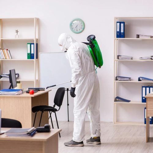 Residential Bed Bug Treatment Leeds