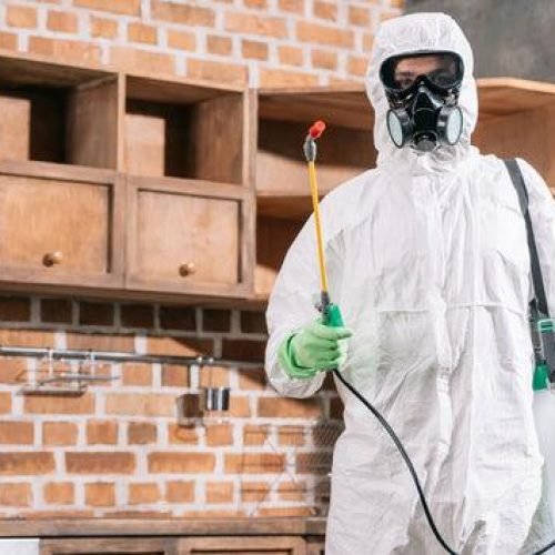 Bed Bug Prevention & Monitoring Leeds