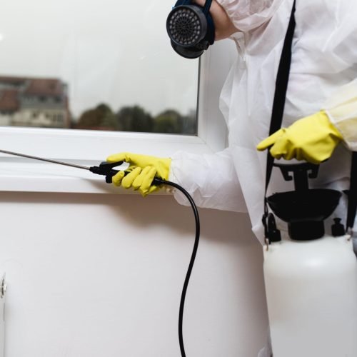 Bed Bug Fumigation Leeds