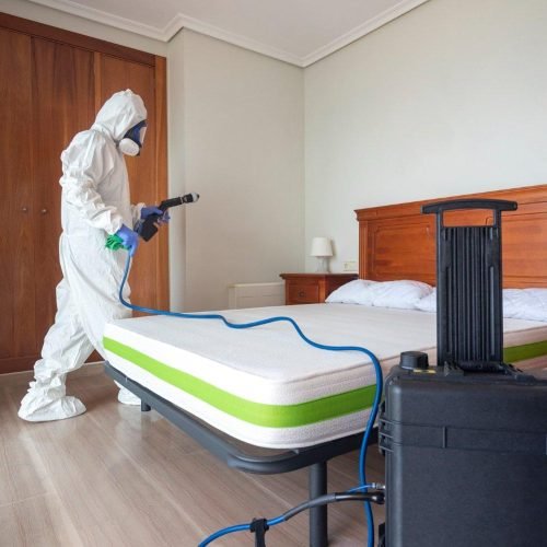 Bed Bug Heat Treatment Leeds