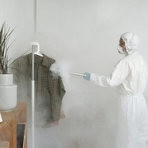 Emergency Bed Bug Removal